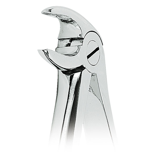 FORCEPS N. 13