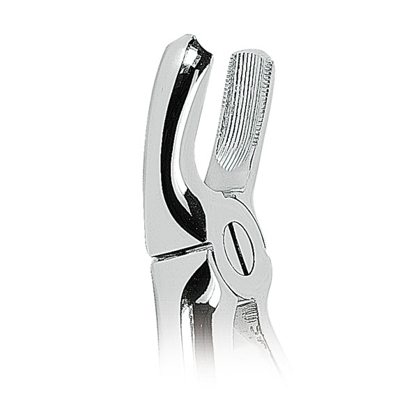 FORCEPS N. 17