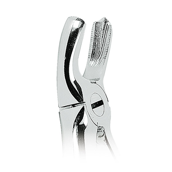 FORCEPS N. 18
