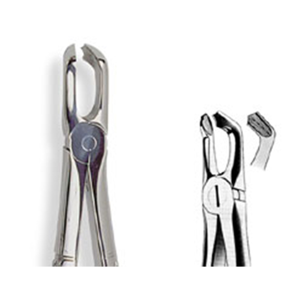 FORCEPS N.79