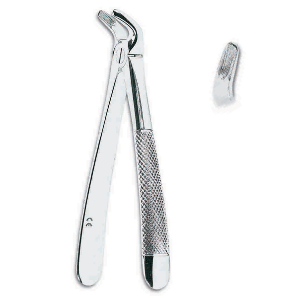 ECO-226 FORCEPS N.8