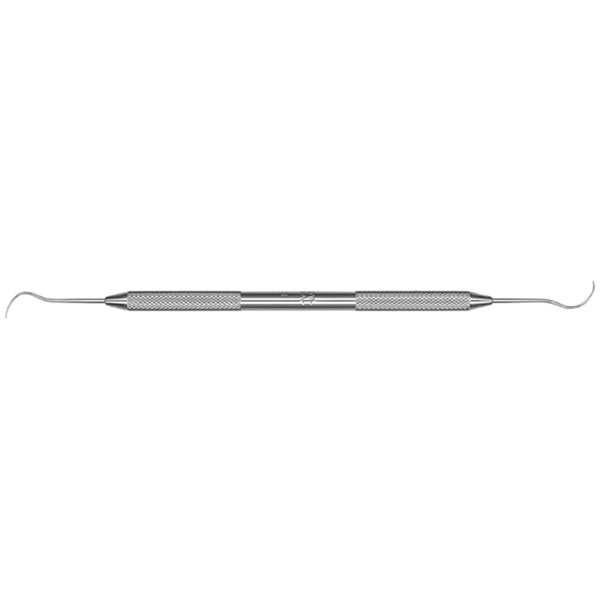 3CH DE EXPLORER COW HORN