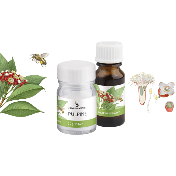 PULPINE MINERAL POLVO