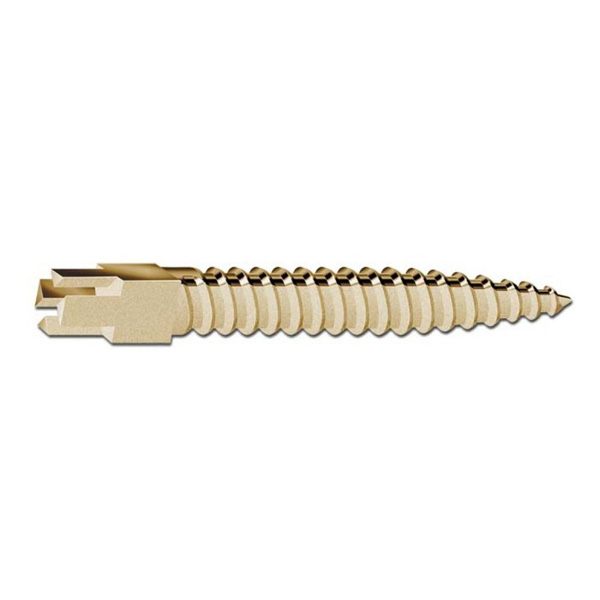 TORNILLOS DORADOS RST N. 1 CORTOS