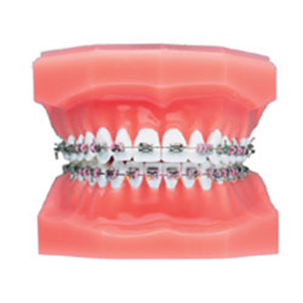 BRACKET ELITE ROTH 022 N.22 MINI TWIN