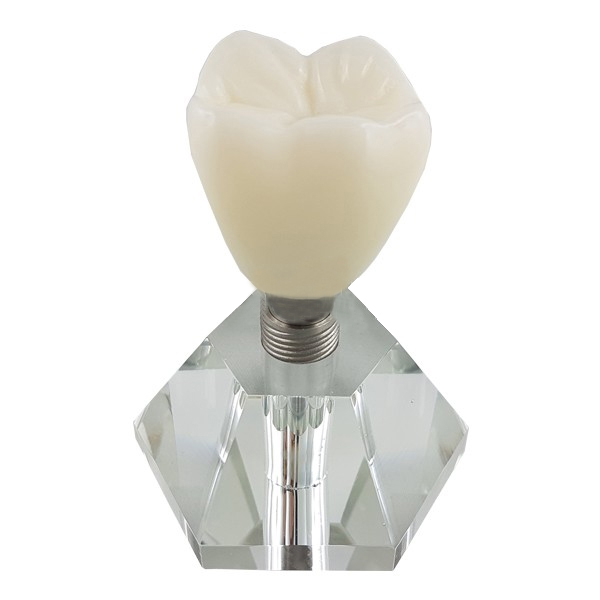 MODELO IMPLANTE GRANDE-BASE TRANSPARENTE