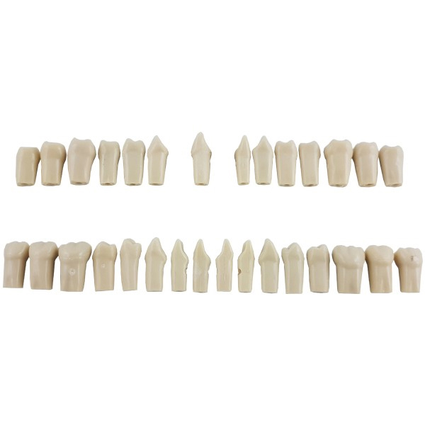RECAMBIO DIENTES PARA EL MODELO DS0893/G